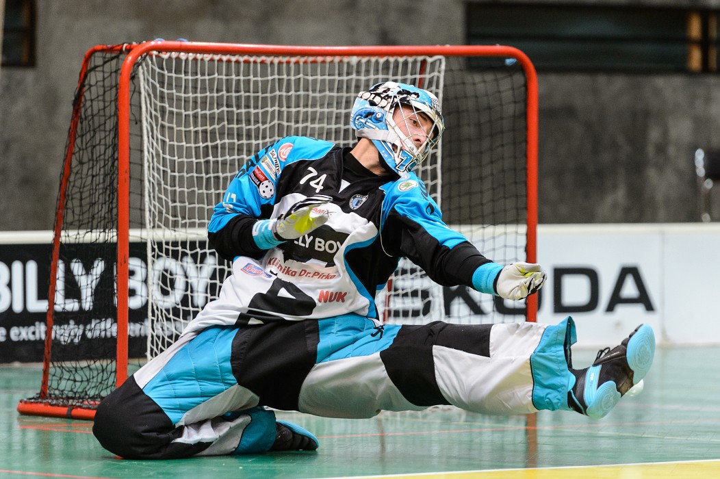 FBK Mladá Boleslav x 1. SC Vítkovice - 8:4