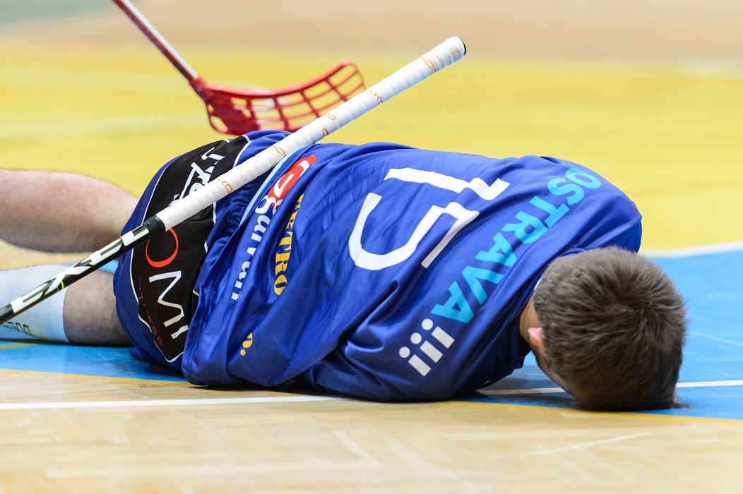 FBK Mladá Boleslav x 1. SC Vítkovice - 8:4