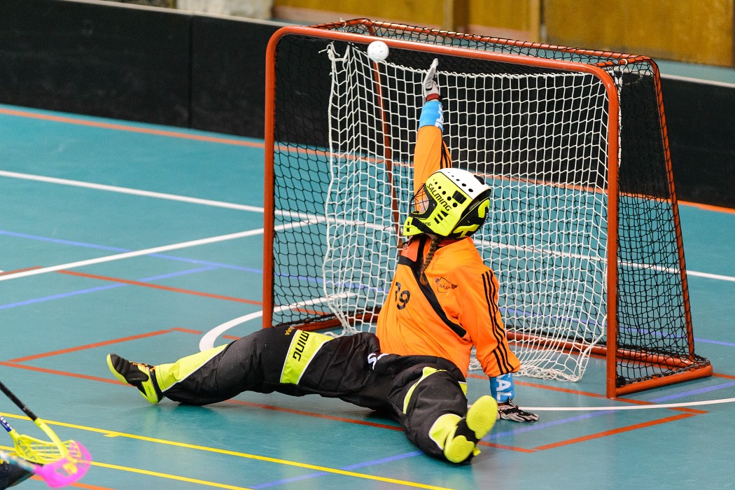 TJ Sokol Krlovsk Vinohrady x 1. SC Vtkovice - 0:4