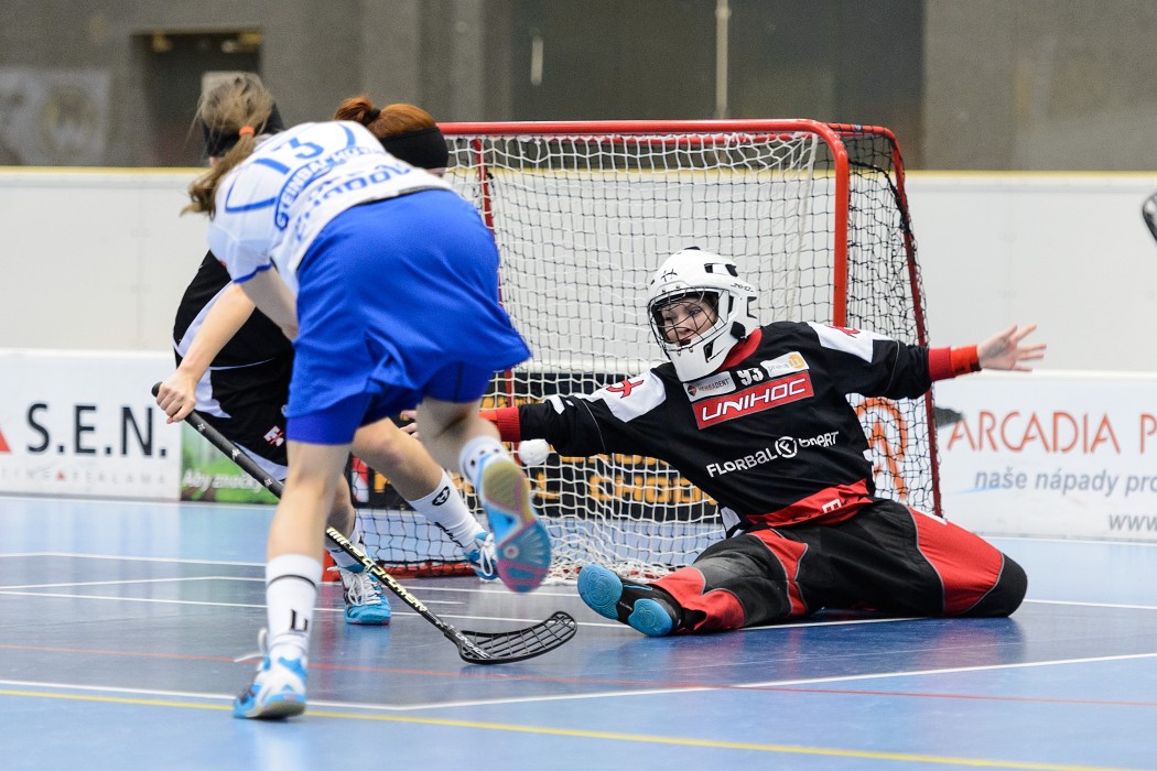 TJ JM Chodov x Tatran Střešovice - 11:2