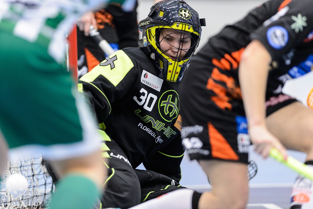 Herbadent SJM P11 x FBŠ Bohemians - 6:8