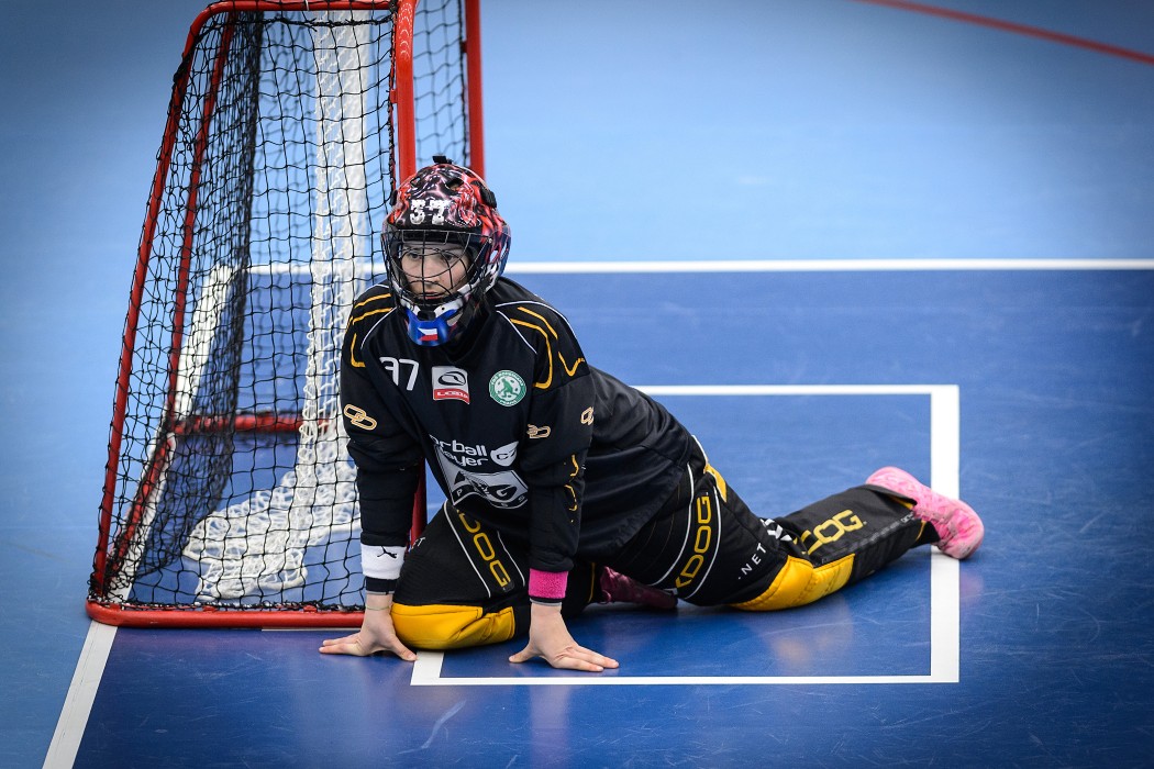 Herbadent SJM P11 x FBŠ Bohemians - 6:8