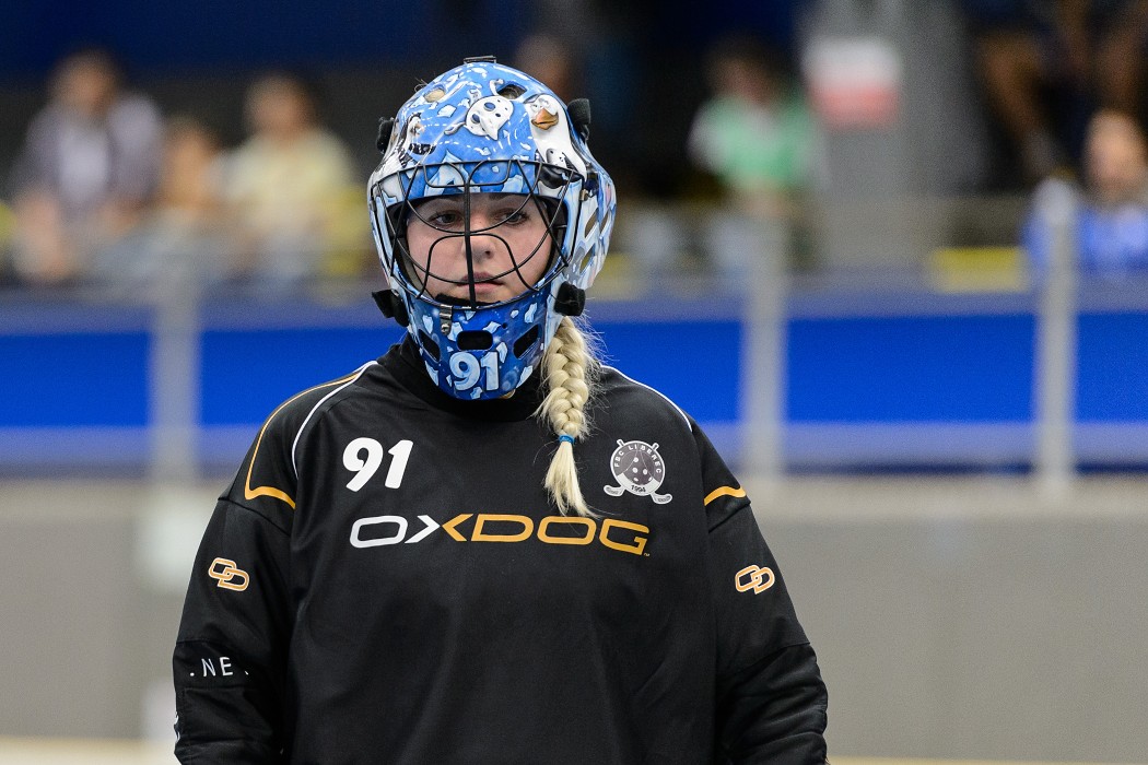 TJ JM Chodov x FBC Liberec - 5:1