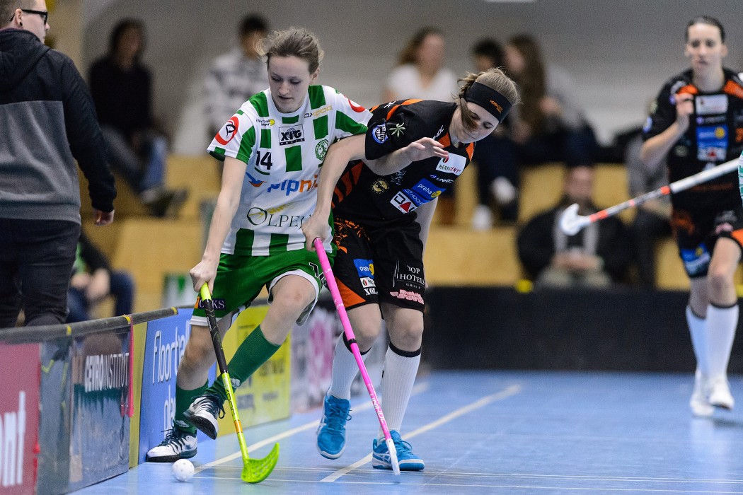 FBŠ Bohemians x Herbadent Praha 11 SJM - 1:7