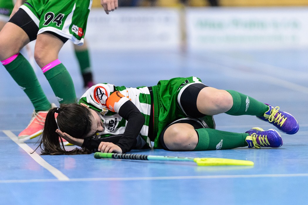 FBŠ Bohemians x Herbadent Praha 11 SJM - 1:7