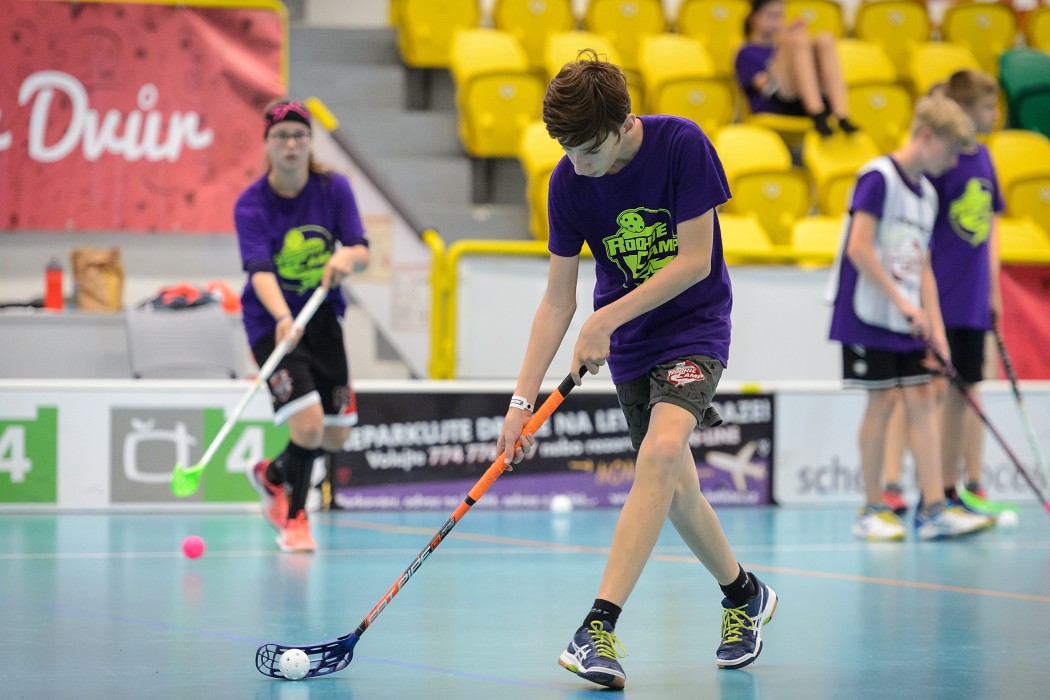Rookie Camp 2017 - Králův Dvůr