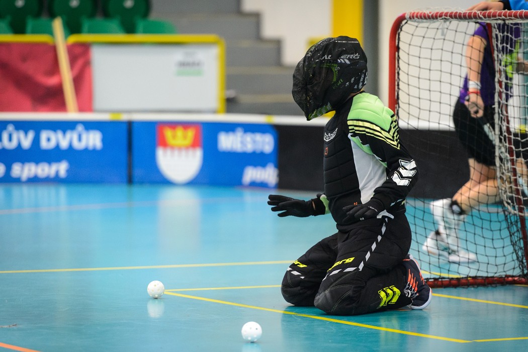Rookie Camp 2017 - Králův Dvůr