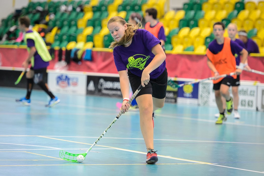 Rookie Camp 2017 - Králův Dvůr