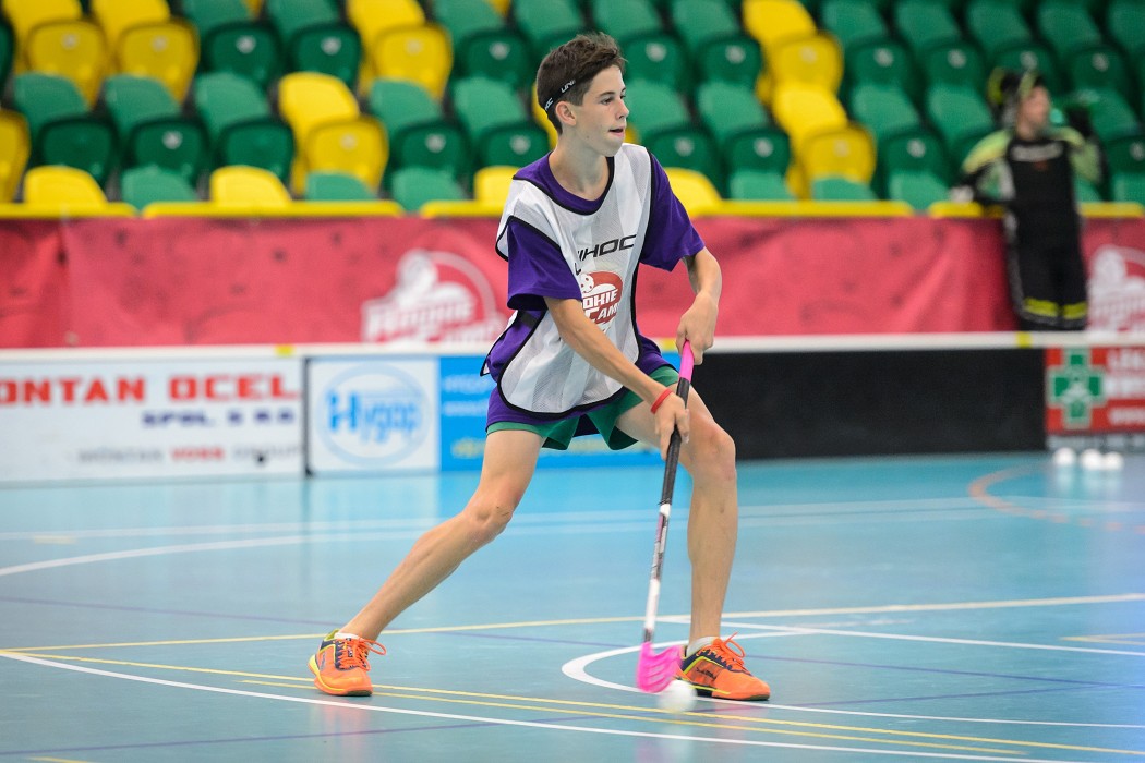 Rookie Camp 2017 - Králův Dvůr