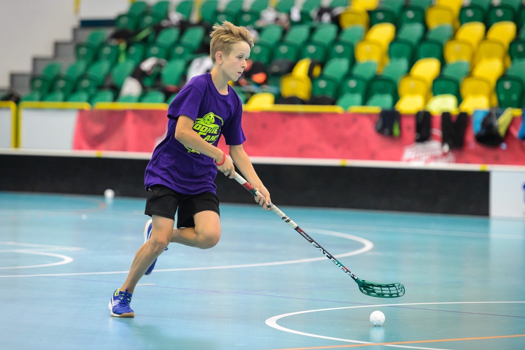 Rookie Camp 2017 - Králův Dvůr