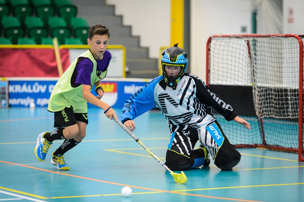 Rookie Camp 2017 - Králův Dvůr