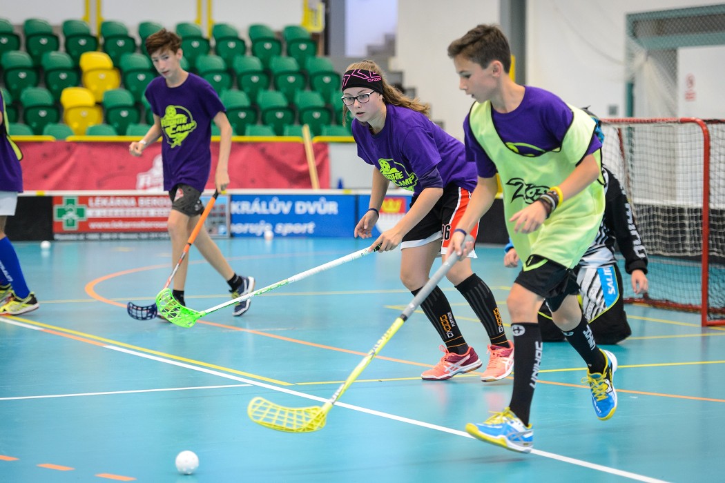 Rookie Camp 2017 - Králův Dvůr