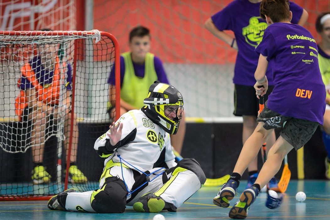 Rookie Camp 2017 - Králův Dvůr