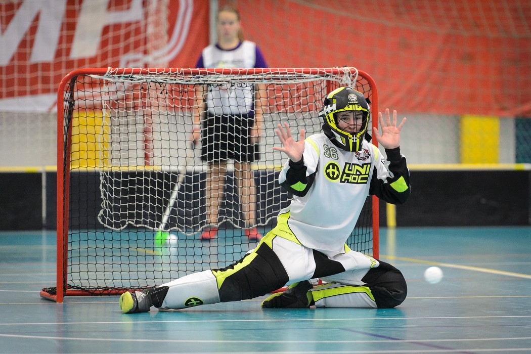 Rookie Camp 2017 - Králův Dvůr