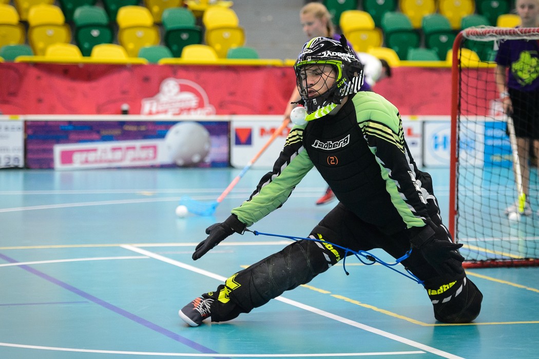 Rookie Camp 2017 - Králův Dvůr