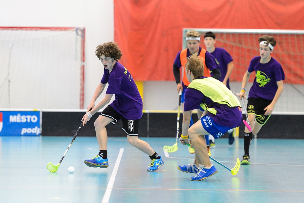 Rookie Camp 2017 - Králův Dvůr