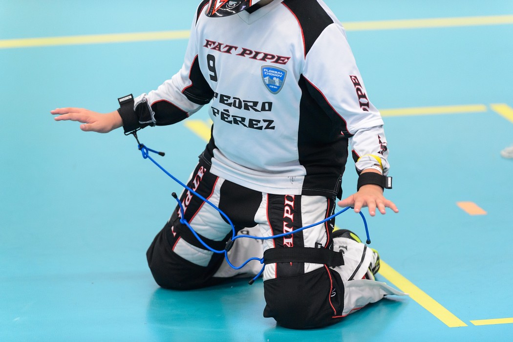 Rookie Camp 2017 - Králův Dvůr