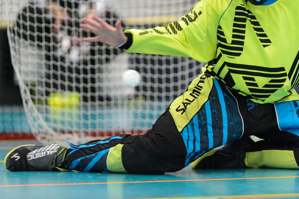 Rookie Camp 2017 - Králův Dvůr