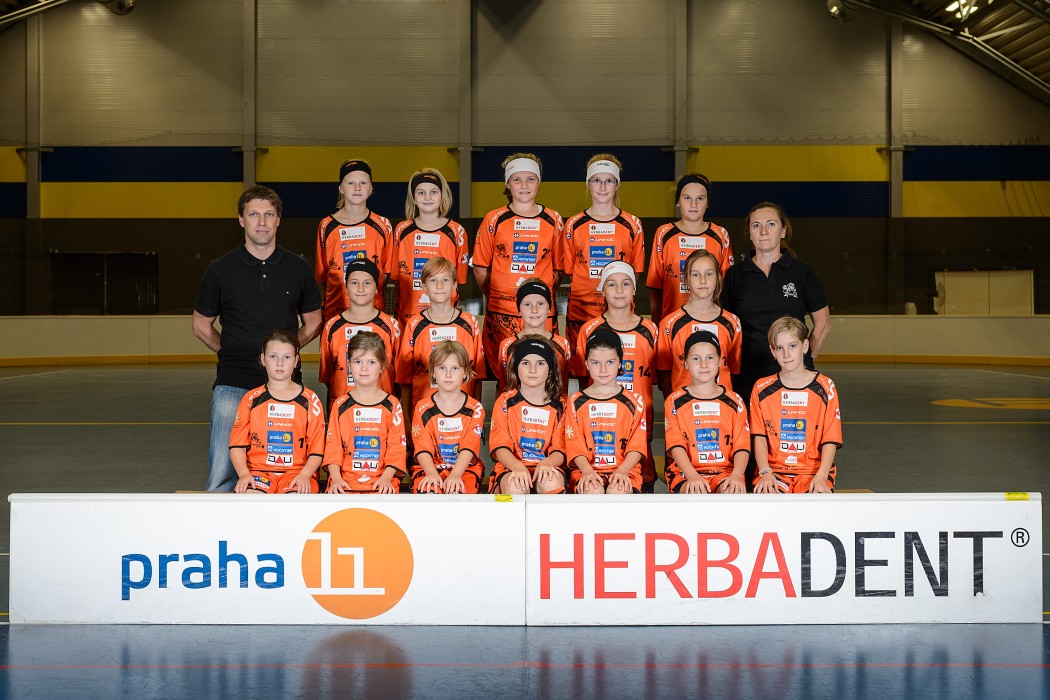 Herbadent Praha 11 SJM - 2014/2015