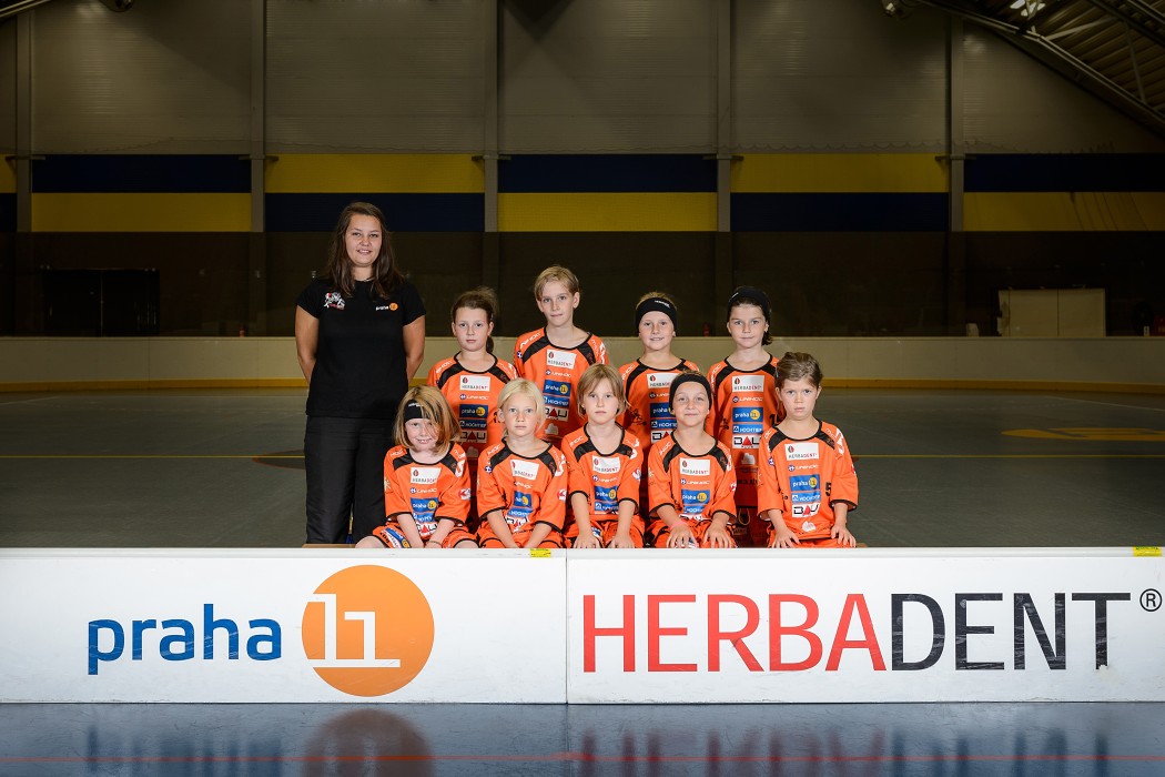 Herbadent Praha 11 SJM - 2014/2015