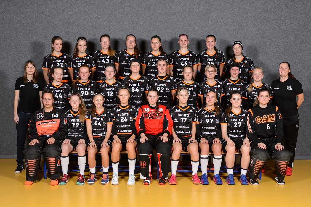 Ivanti Tigers Jižní Město - 2018/2019