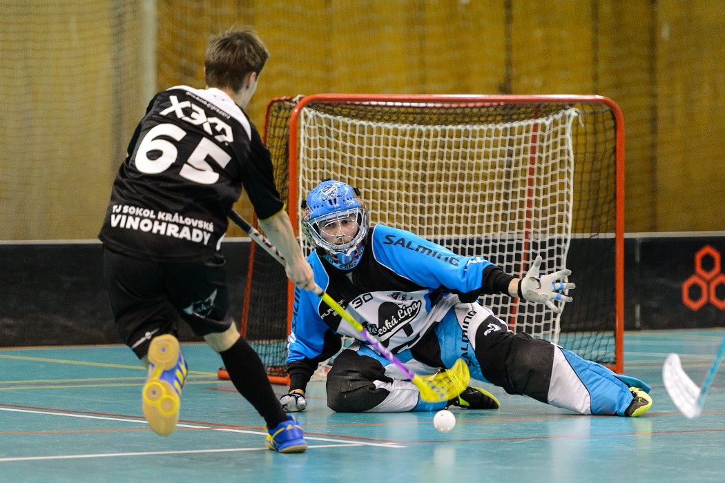 TJ Sokol Královské Vinohrady x FBC Česká Lípa - 4:6