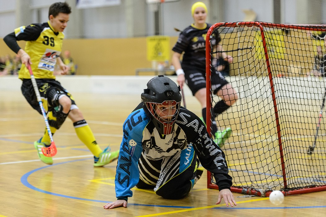 Elite Praha x TJ Sokol Královské Vinohrady - 7:5