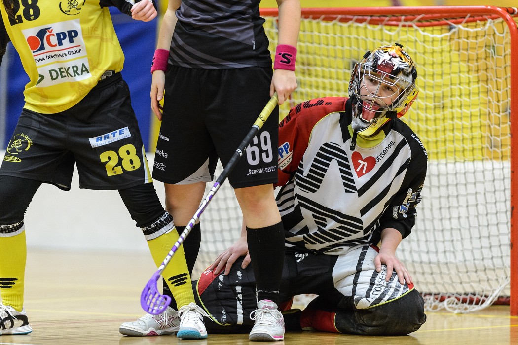 Elite Praha x TJ Sokol Královské Vinohrady - 7:5