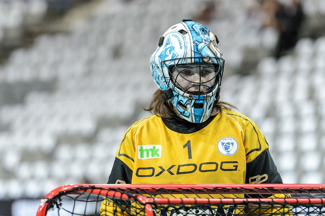 Finále českého poháru středních škol