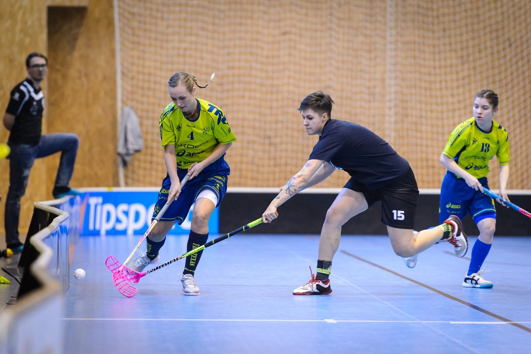 FBC Texas vs FBC Štíři České Budějovice