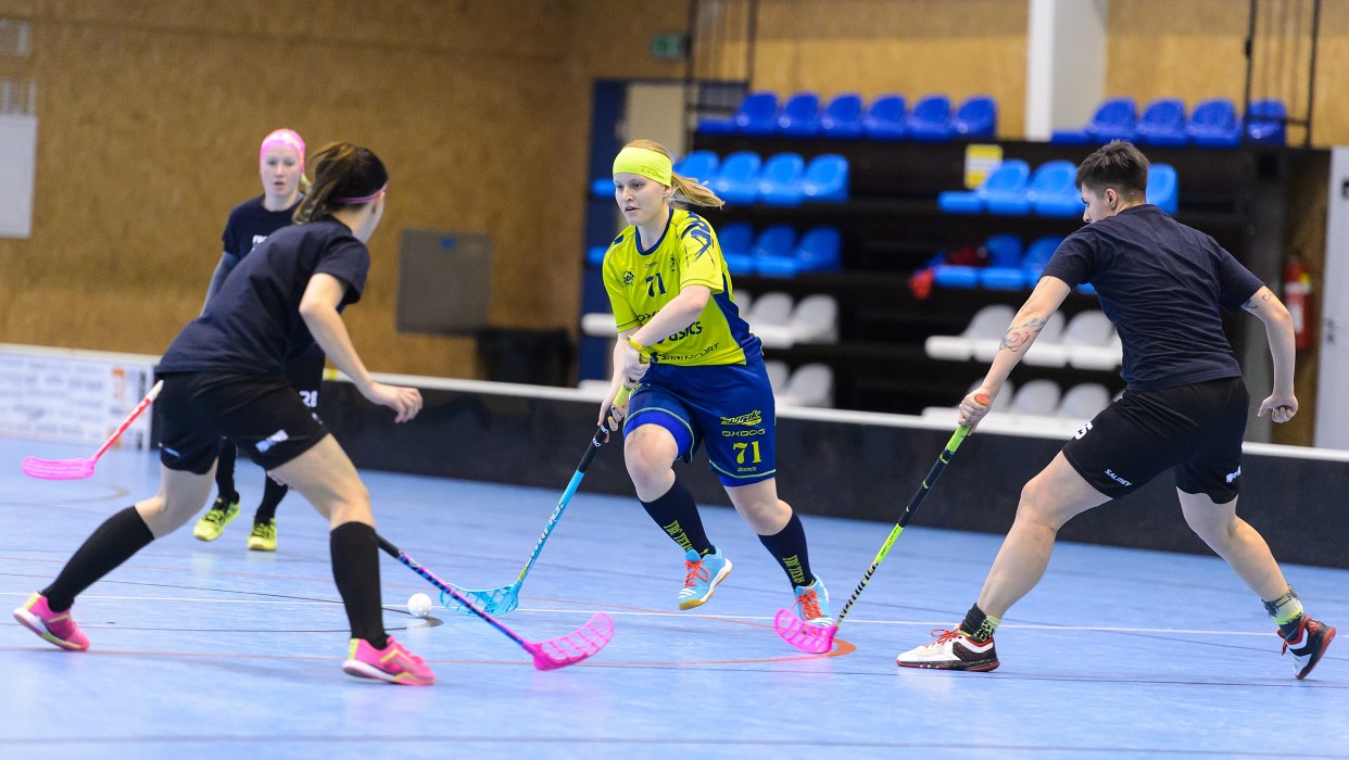 FBC Texas vs FBC Štíři České Budějovice