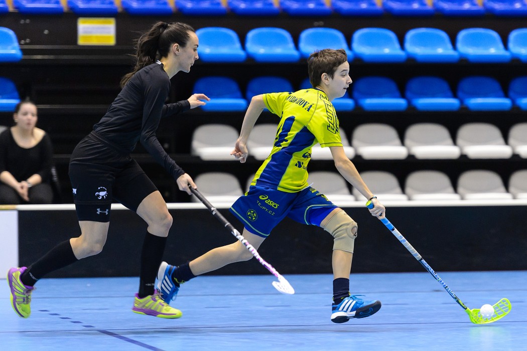 FBC Texas vs FBC Štíři České Budějovice