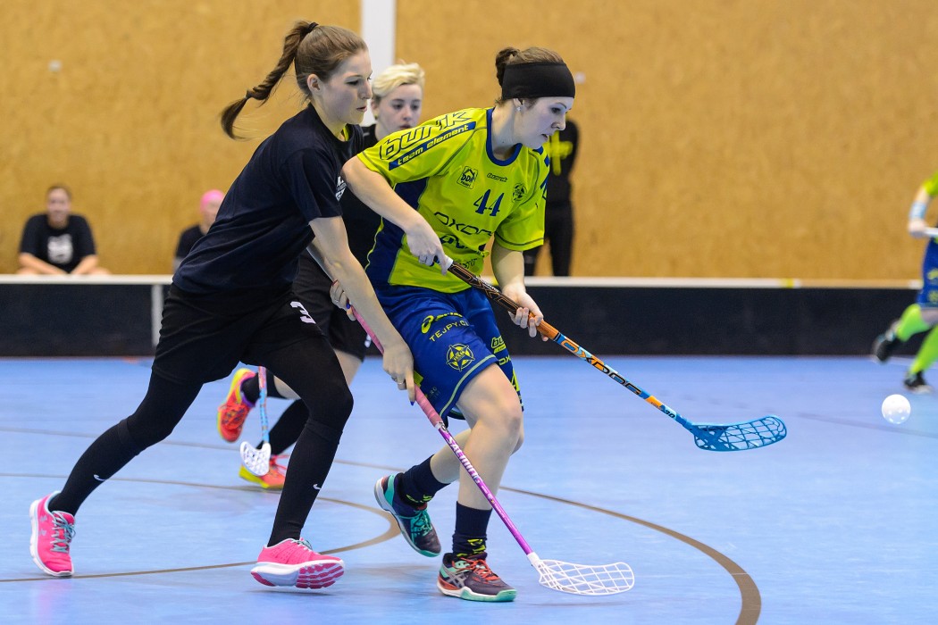 FBC Texas vs FBC Štíři České Budějovice