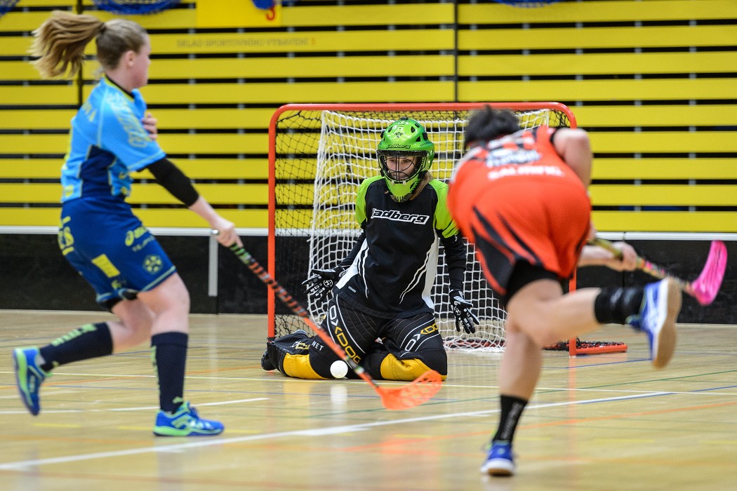 FBC Texas vs Florbal Chomutov