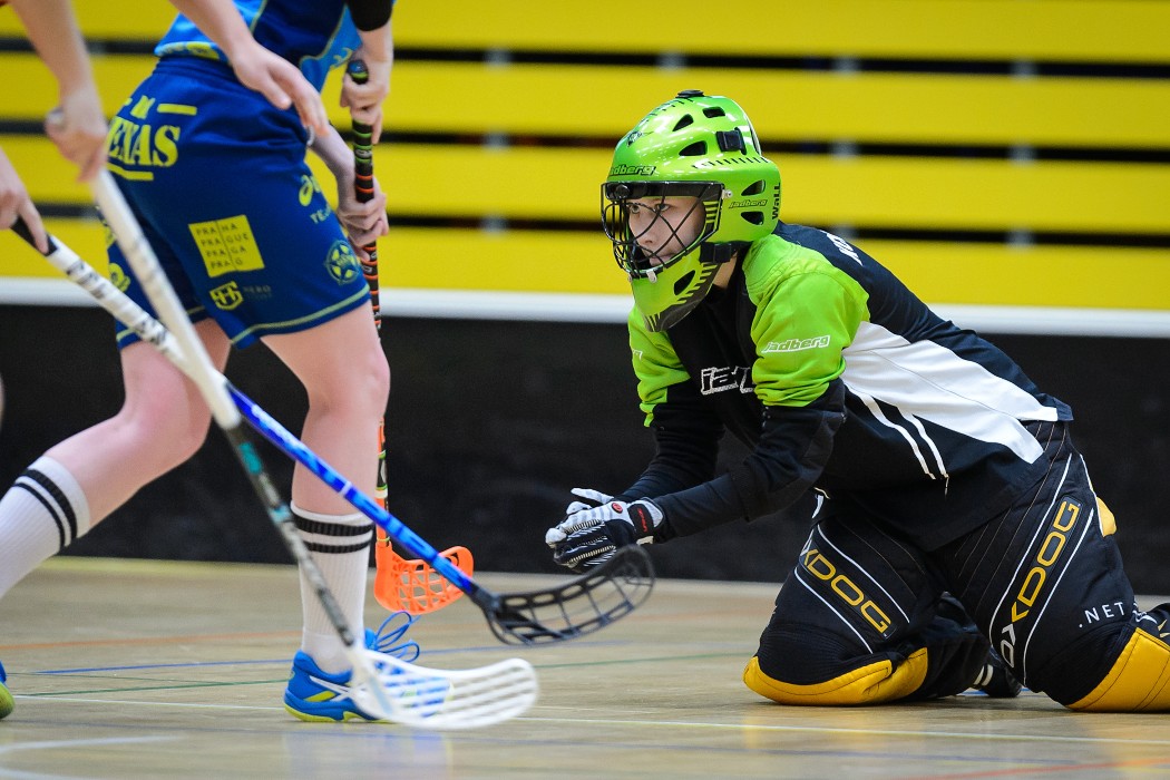 FBC Texas vs Wizards DDM Praha 10