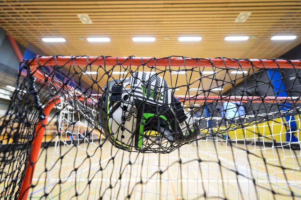 FBC Texas vs FBC Pitbulls Kolín