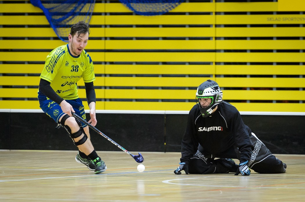 FBC Texas vs FBC Pitbulls Kolín