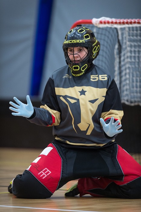 FBC Texas Longhorns vs Banes Florbal Soběslav