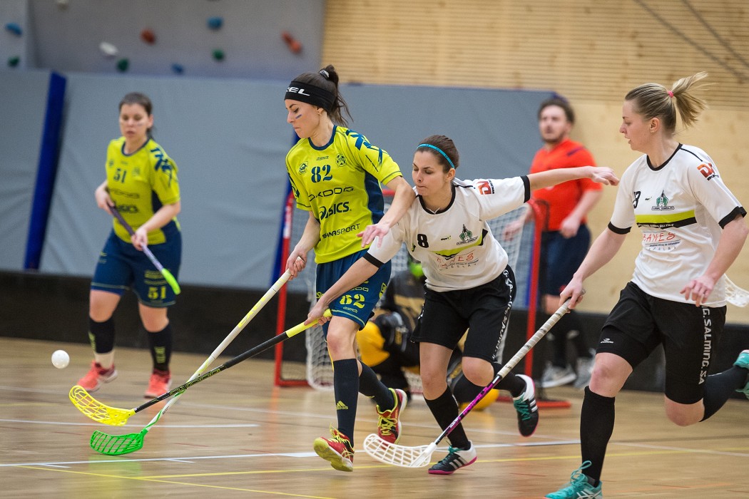 FBC Texas Longhorns vs Banes Florbal Soběslav