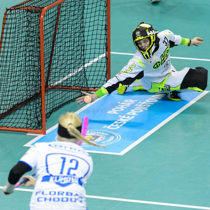 Finále Poháru České pojišťovny - Herbadent Praha 11 SJM vs