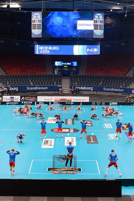 WFC 2014 - Česko vs Švýcarsko - 2:2