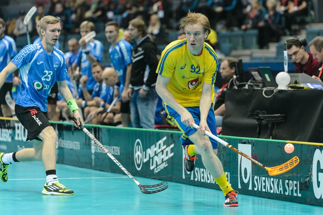 WFC 2014 - Švédsko vs Estonsko - 17:0