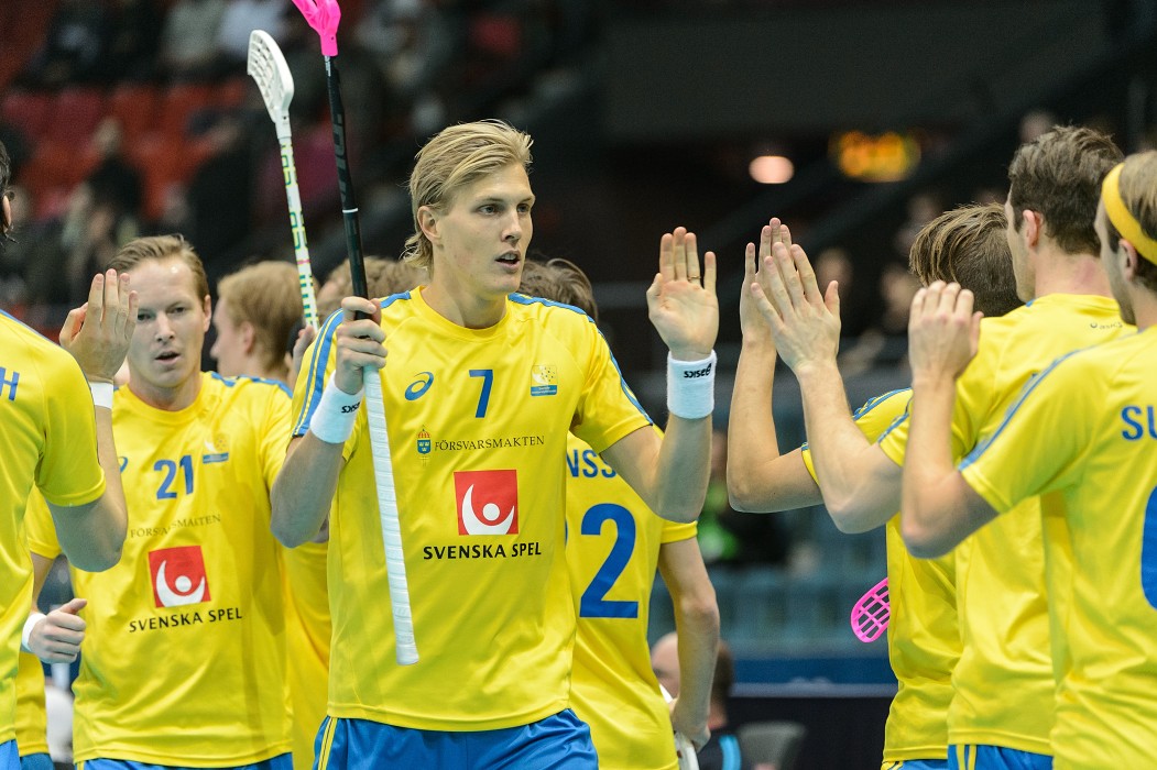 WFC 2014 - Švédsko vs Estonsko - 17:0