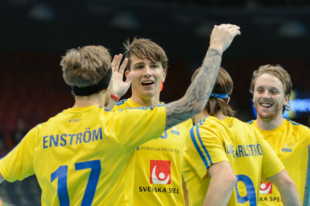 WFC 2014 - Švédsko vs Estonsko - 17:0