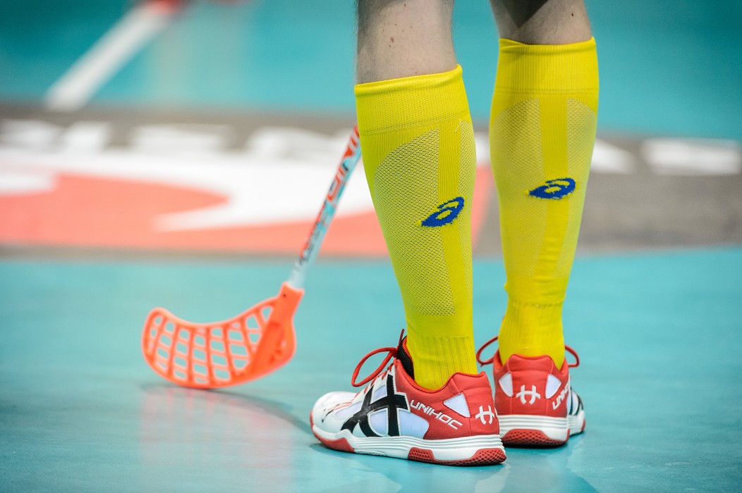 WFC 2014 - Švédsko vs Estonsko - 17:0