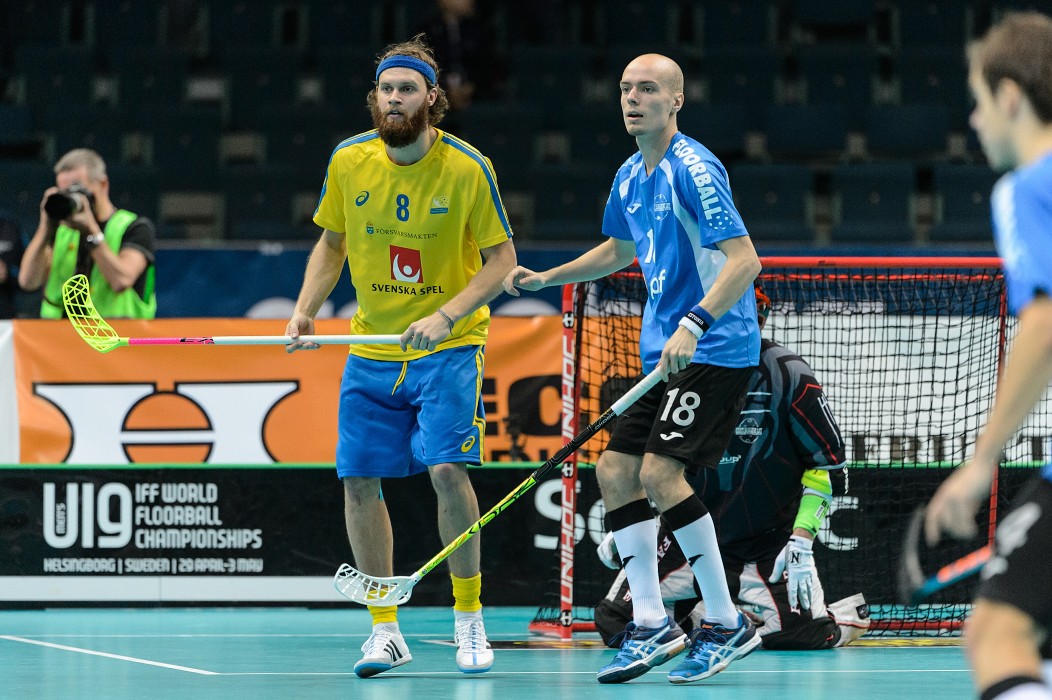 WFC 2014 - Švédsko vs Estonsko - 17:0