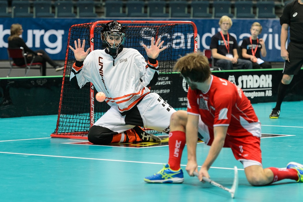 WFC 2014 - Česko vs Dánsko - 5:1