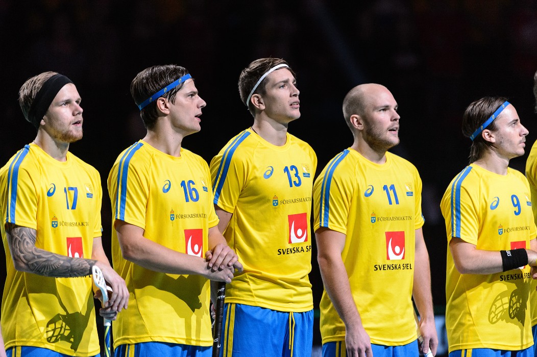 WFC 2014 - Švédsko vs Švýcarsko - 10:1