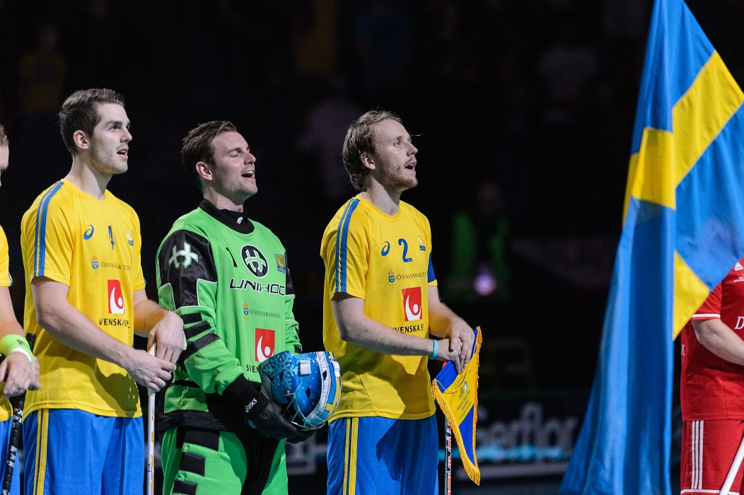 WFC 2014 - Švédsko vs Švýcarsko - 10:1