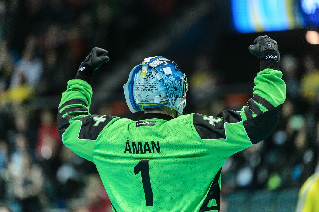 WFC 2014 - Švédsko vs Švýcarsko - 10:1